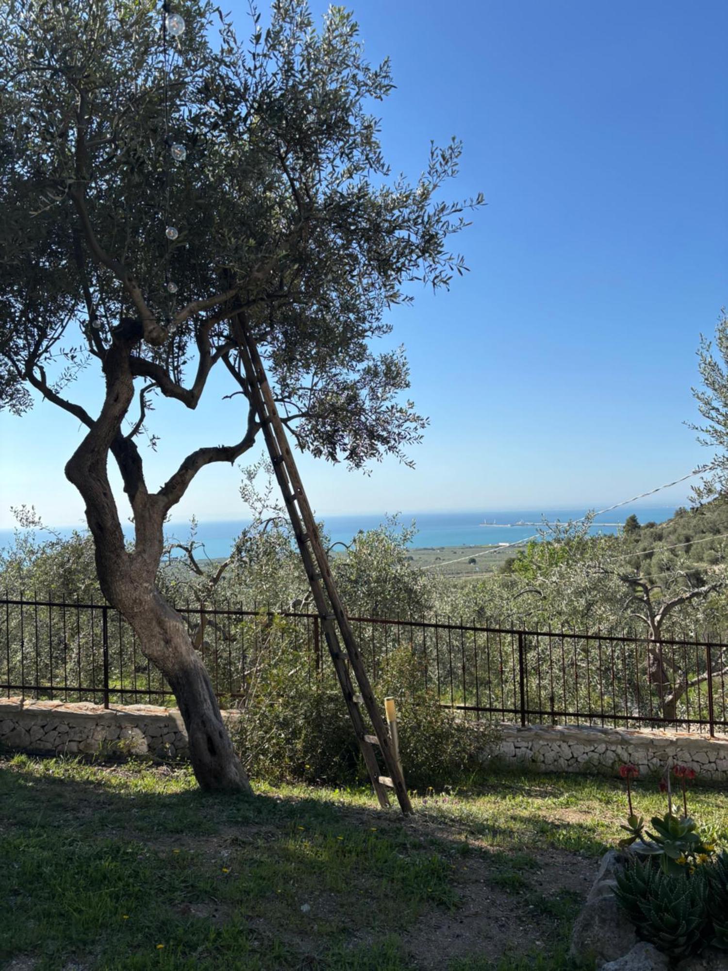 Maison d'hôtes Dimora Mariuccia Monte SantʼAngelo