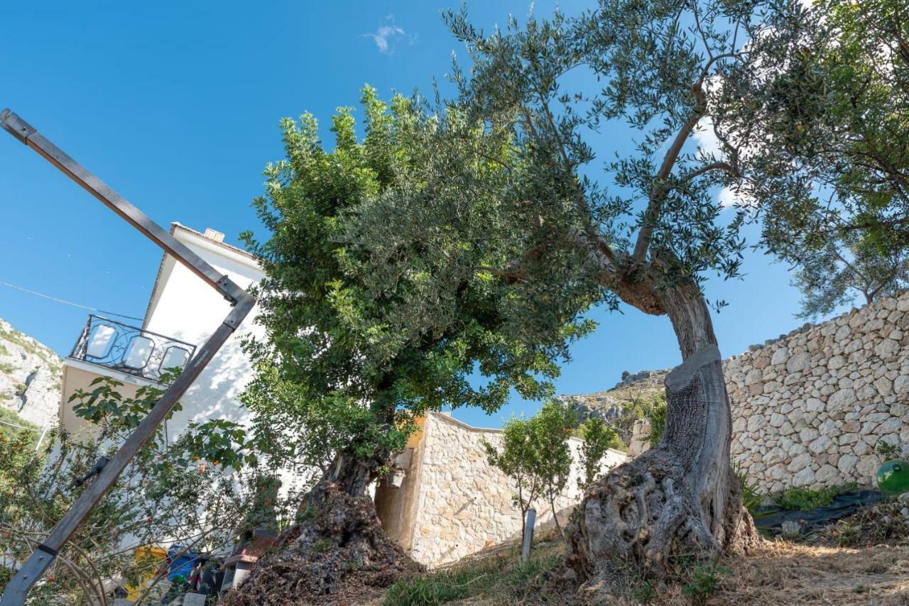 Dimora Mariuccia Monte SantʼAngelo